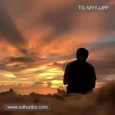 魏维戈